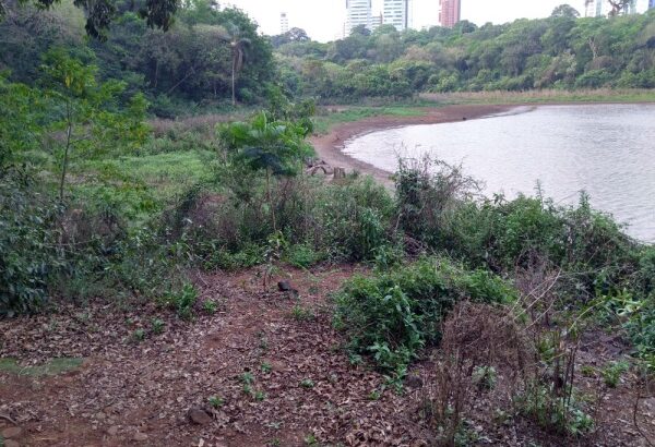 Humberto Henrique pede projeto para revitalização do Parque do Ingá