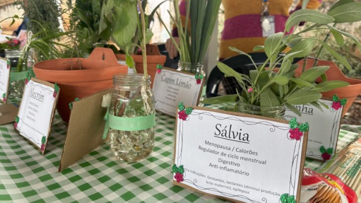 Uso de plantas medicinais volta a ser incentivado em Maringá