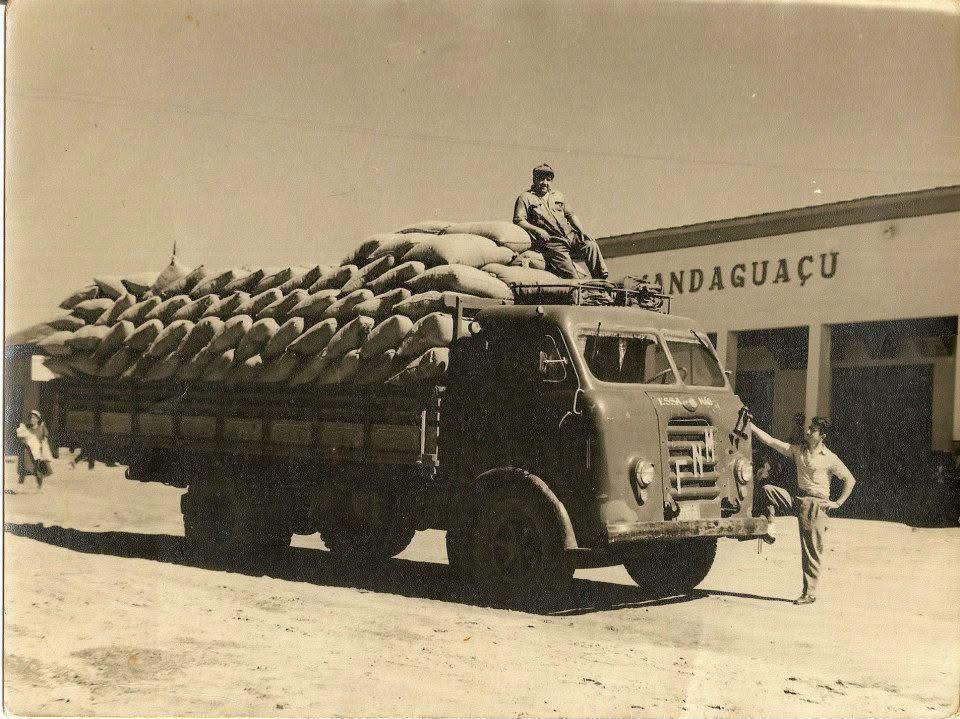 Pioneiro da exportação de café, Antonio Carraro, da Mercaex de Mandaguaçu, agora investe em gado de elite
