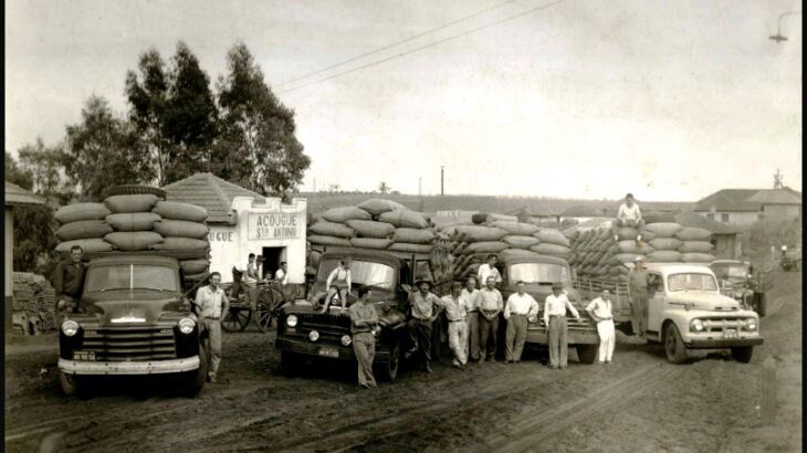 Pioneiro da cafeicultura em Mandaguaçu, Antonio Carraro agora investe em nelore P.O.